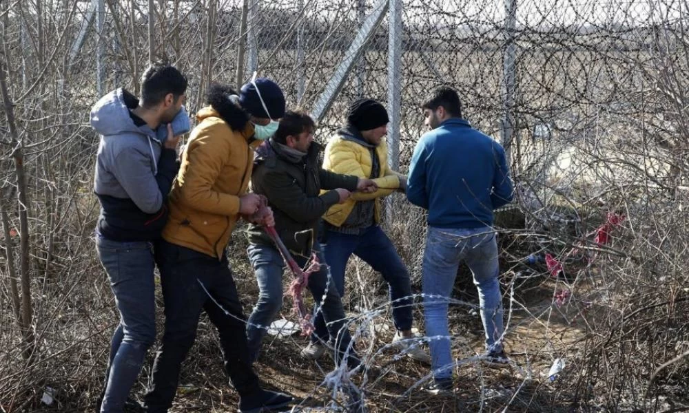 "Εισβολή" μεταναστών στο Σουφλί: Έσφαξαν και έφαγαν κατσίκια - Τους συνέλαβαν οι κάτοικοι